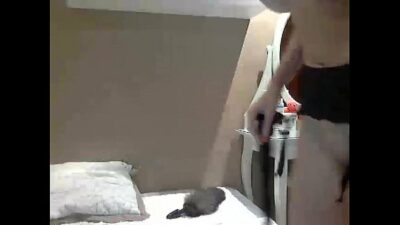 Cat Tail Porn Gif
