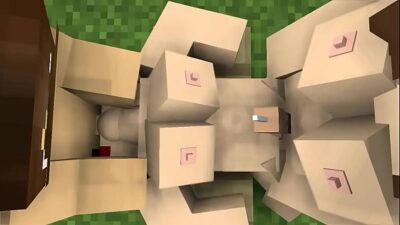 Comment Construire Une Maison Dans Minecraft