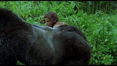 Film Porno Gratuit Avec Animaux Recent Gorille