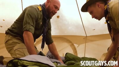 Porn Gay Scout