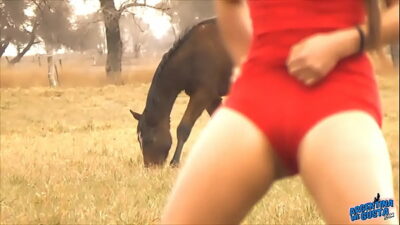 Zoolophile Porn Video Horse Cum Inside