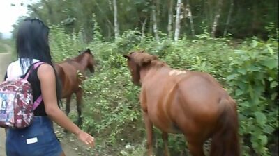 Handjob To Horse Porn - Handjob Horses